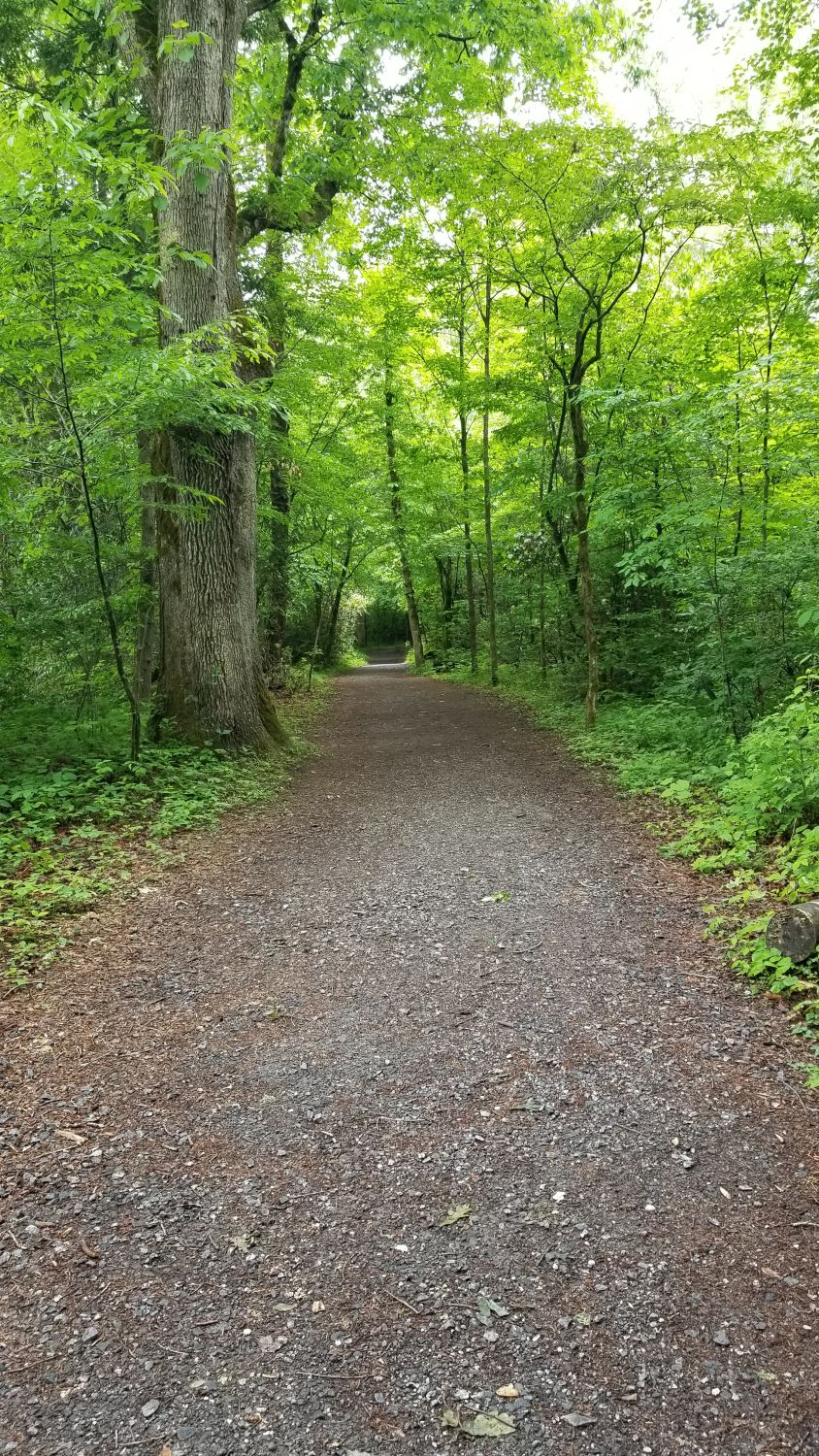 River Trail 